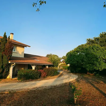 Bleue Avec Piscine
